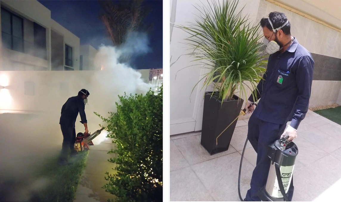 pest-control-service-in-sharjah