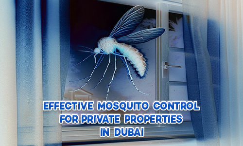 Mosquito Control for Private Properties
