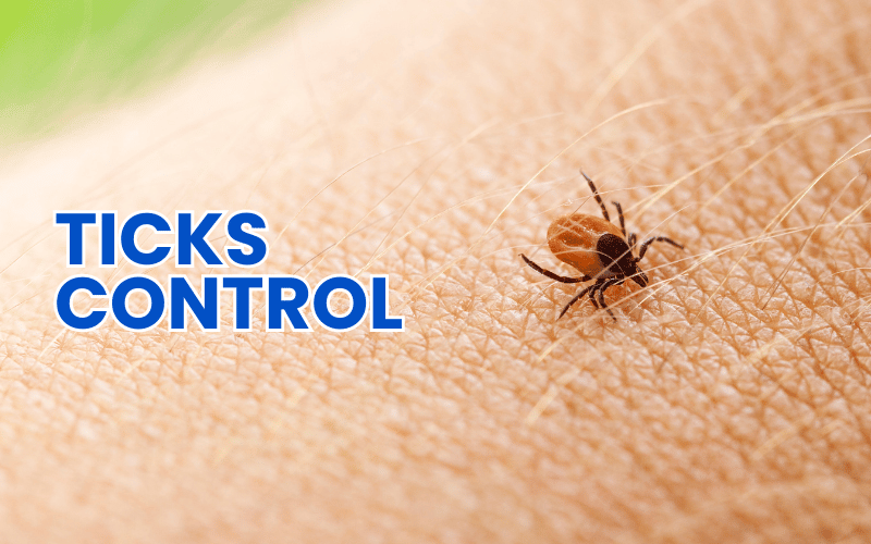 Ultimate Ticks Control