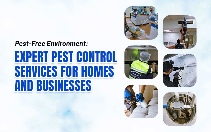 Pest-Free Environment - Expert Pest Control Services for Homes and Businesses