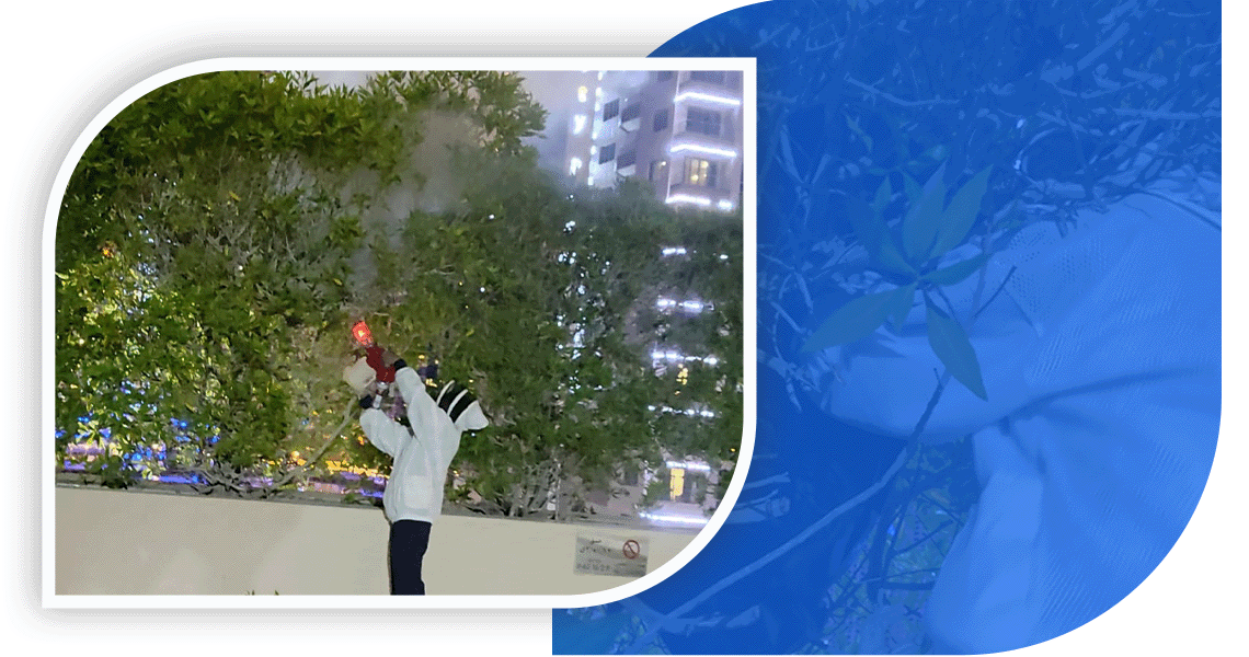 man removing Honeycomb in Dubai, UAE