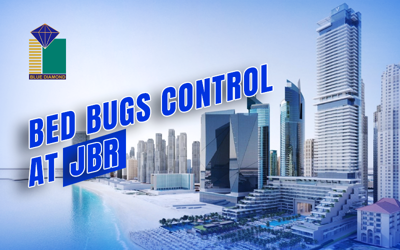 Bed Bugs contro jbr