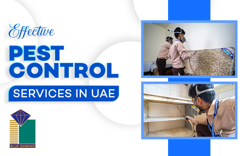 Effective Pest Control Services