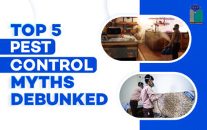 Blog 12 Pest Control Myths