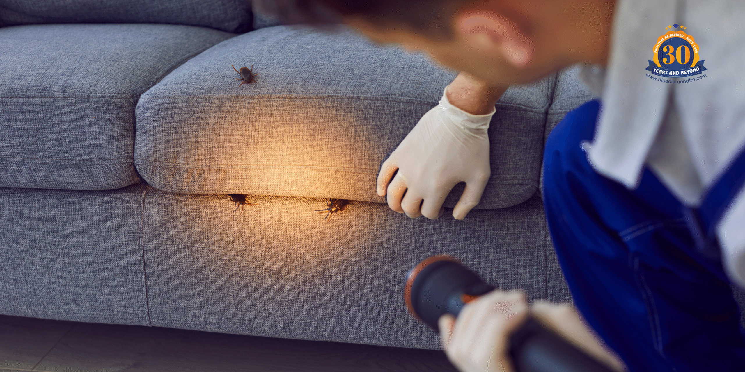 Pest Infestation