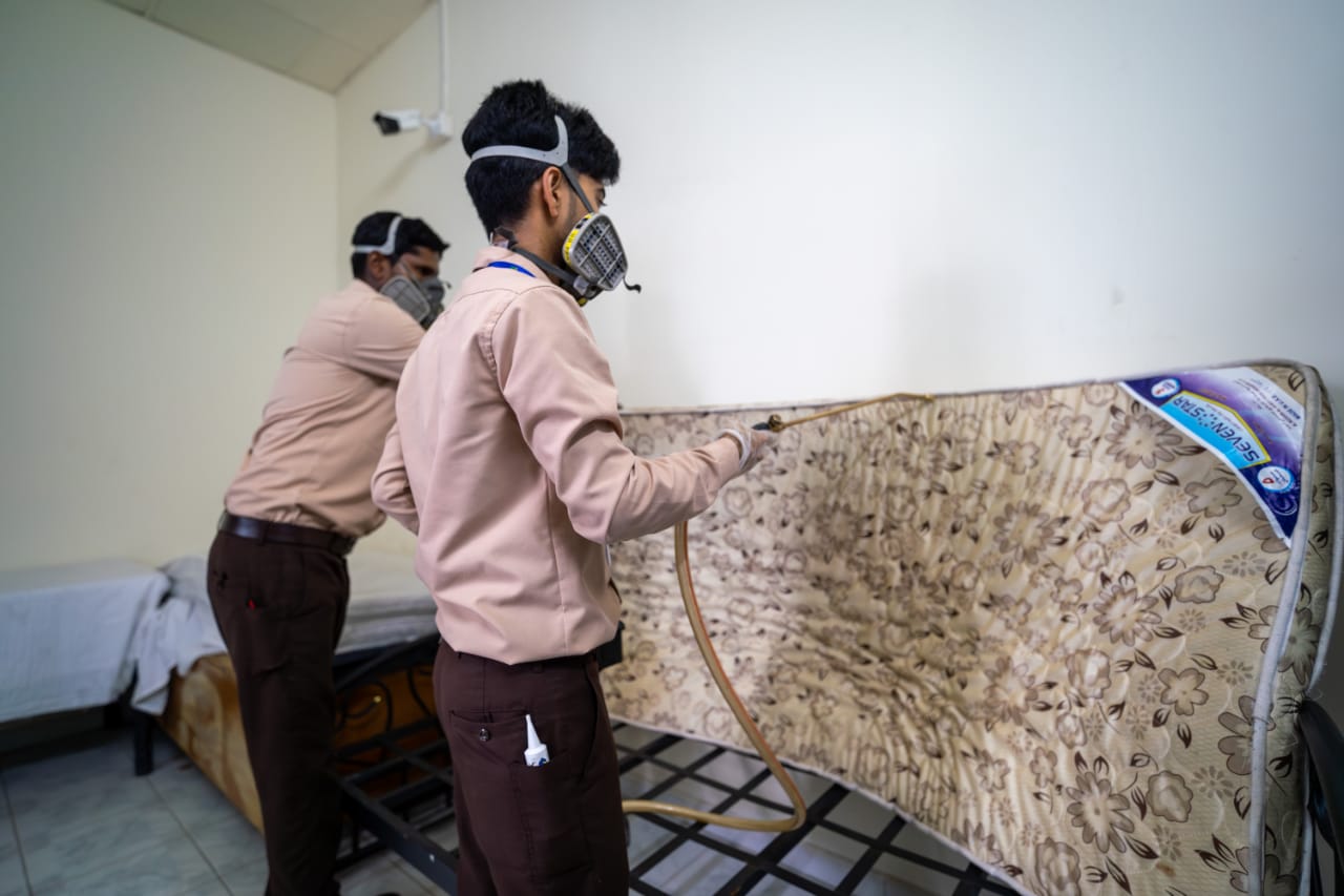 Bed Bug Infestation in the UAE: How to Detect, Prevent, and Get Rid of Them 1 Beg Bugs Pest Control by Blue Diamond Group UAE