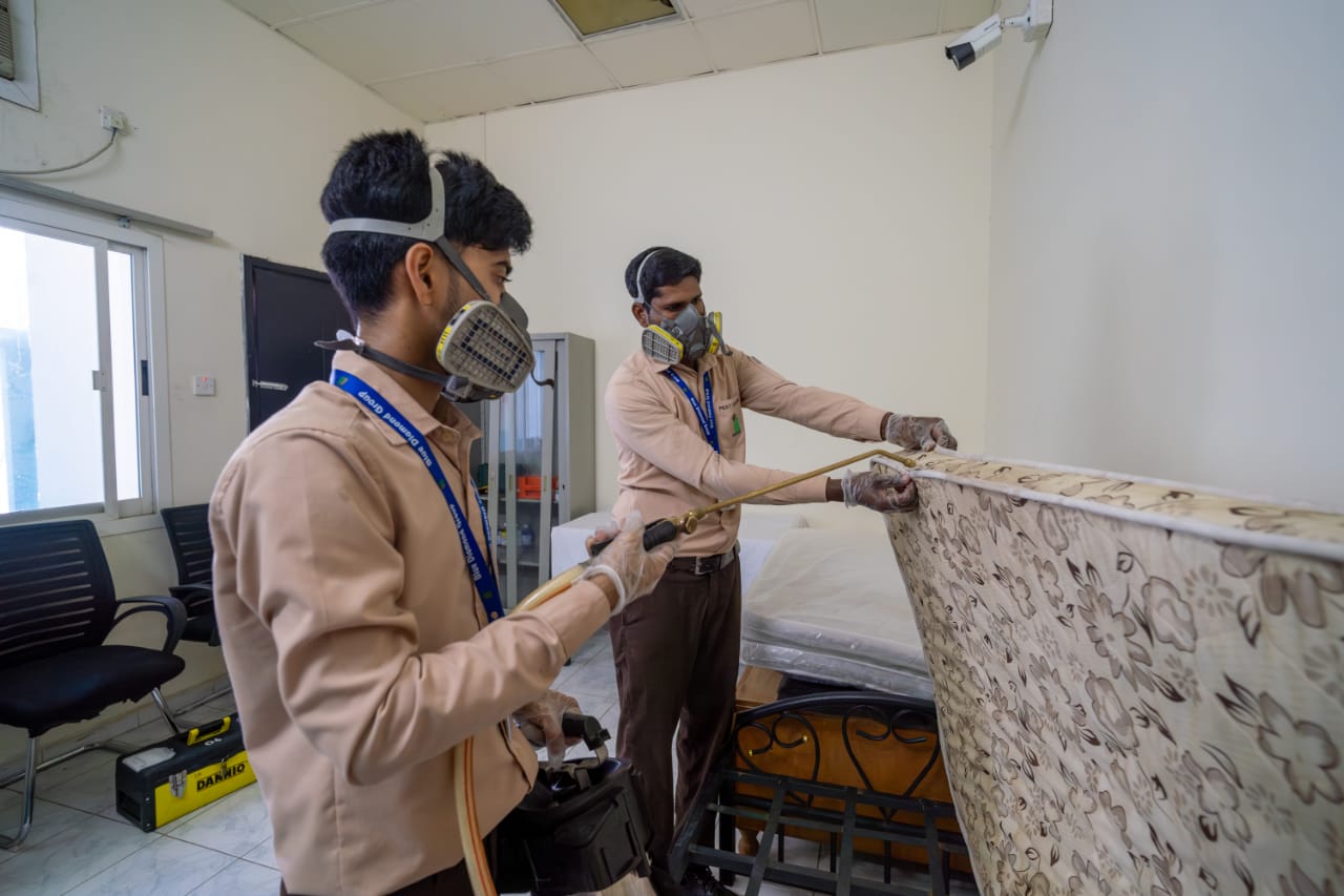 Bed Bug Infestation in the UAE: How to Detect, Prevent, and Get Rid of Them 4 Prevent Beg Bugs With Pest Control by Blue Diamond Group UAE
