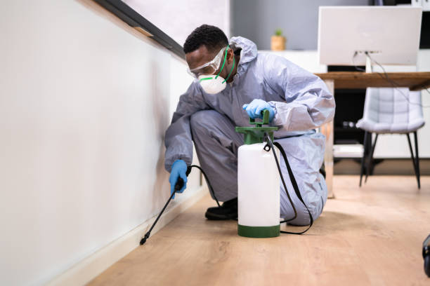 Hidden Health Risks: Beyond Bites 1 istockphoto 1341381731 612x612 2