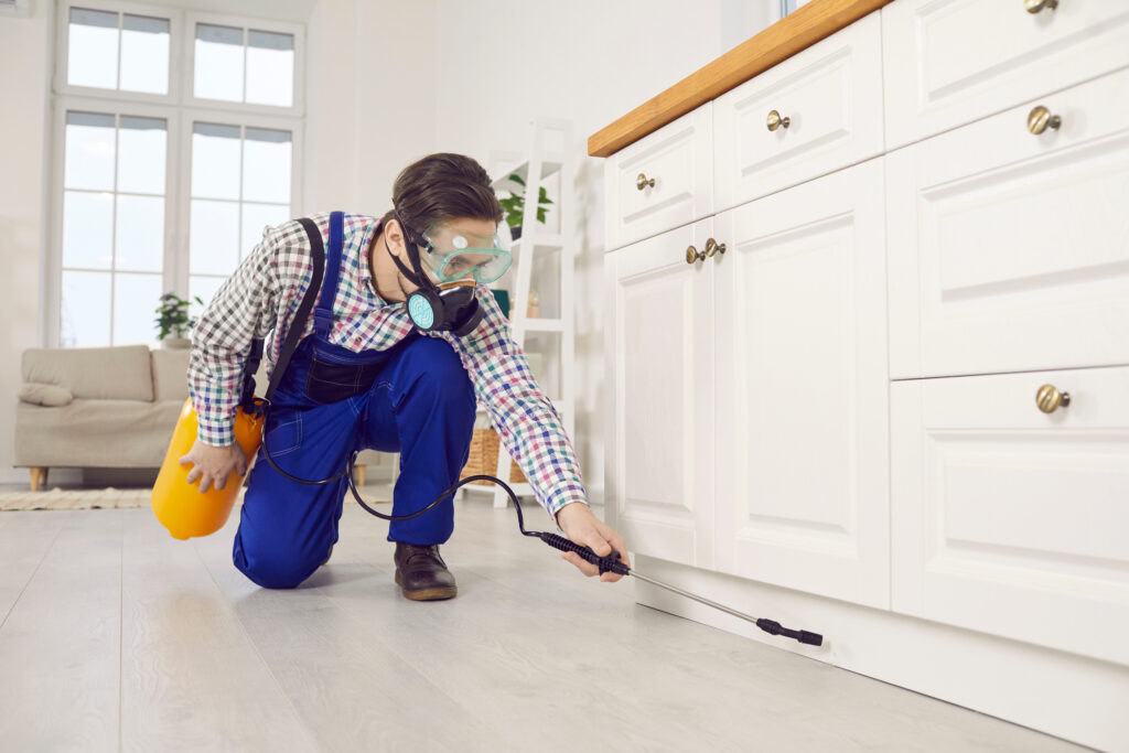 Top 10 Common Household Pests and How to Eliminate Them 3 Common Household Pests