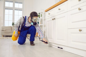 Blog 19 Common Household Pests