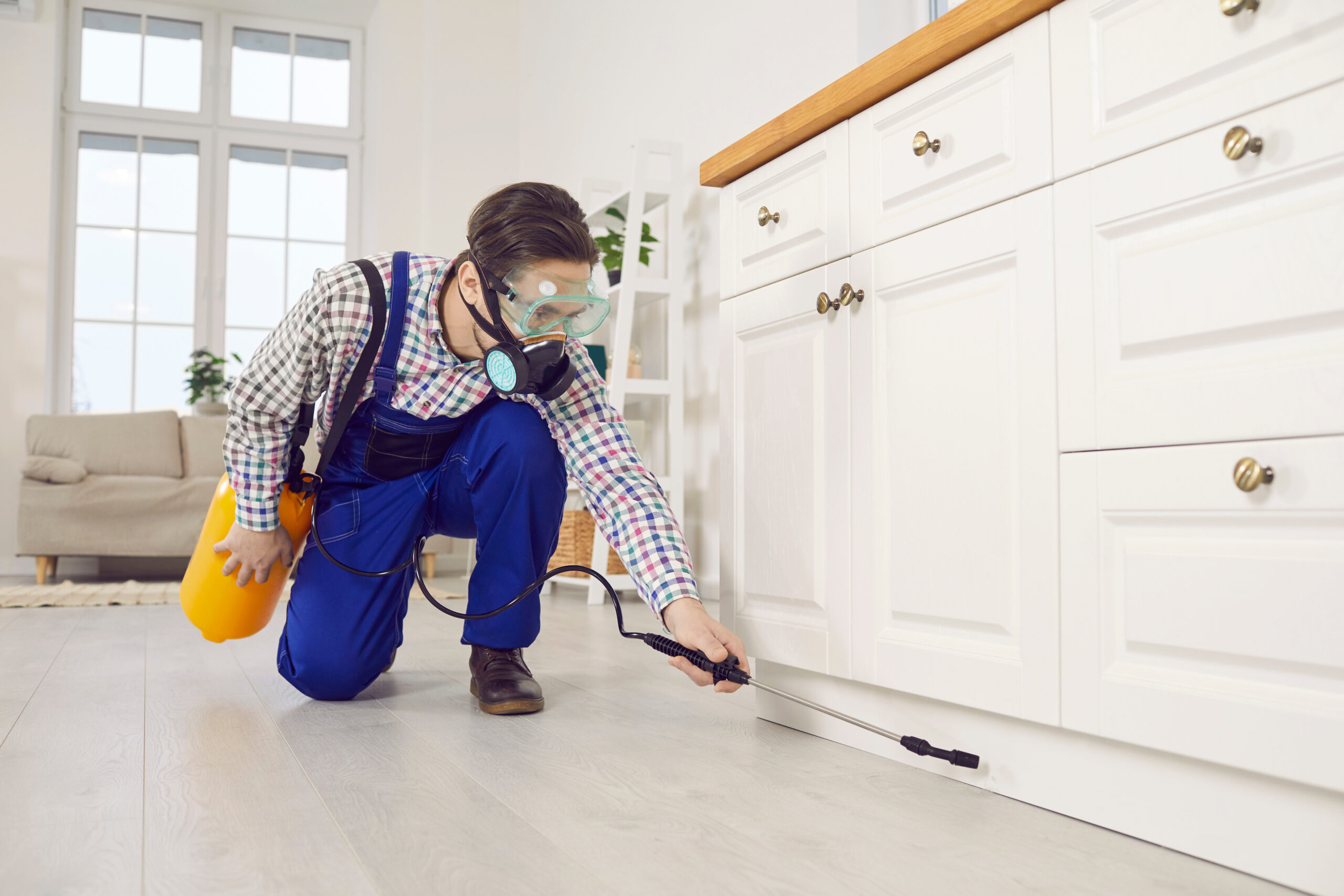 Common Household Pests