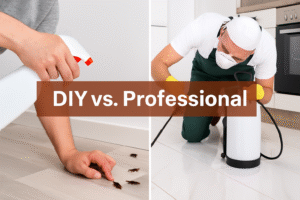 Blog 11 DIY vs. Professional