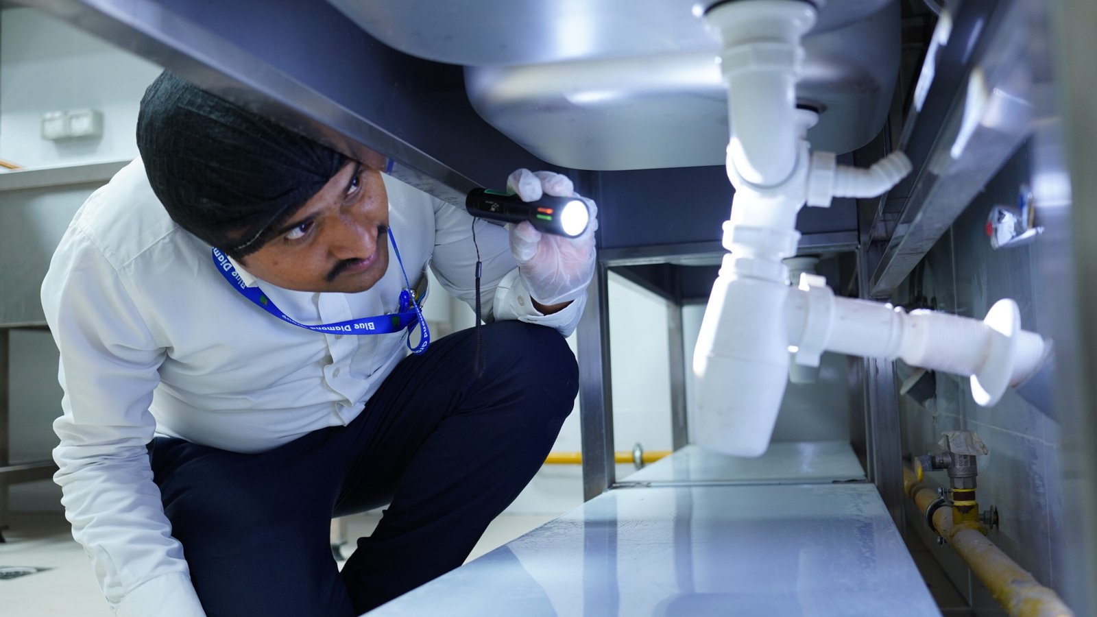 Commercial Pest Control Dubai | Restaurant, Office & Warehouse