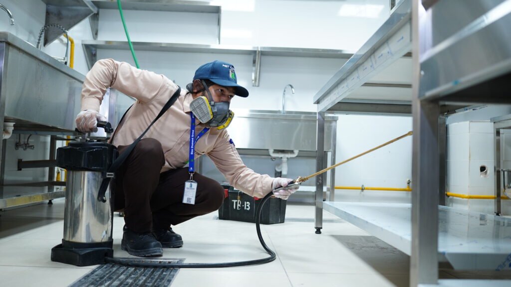 Best Pest Control Dubai: Cockroach, Bed Bug & Termite Treatment Experts