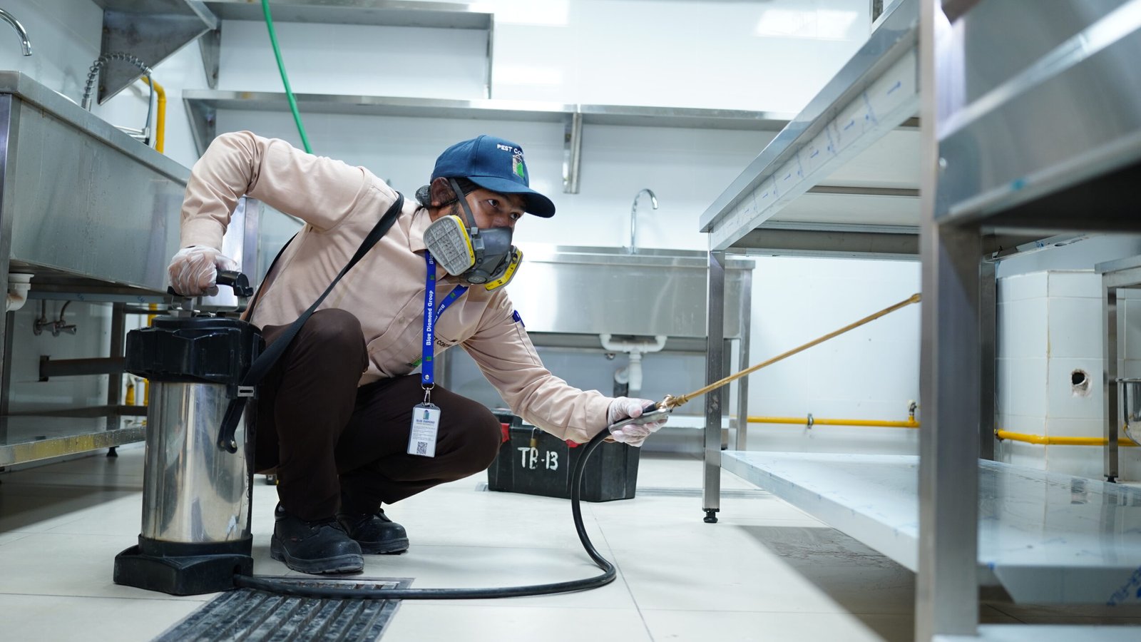 Pest control services Abu Dhabi