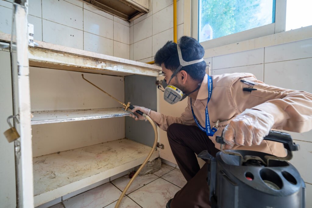 Cockroach Control UAE | Professional Treatment Dubai