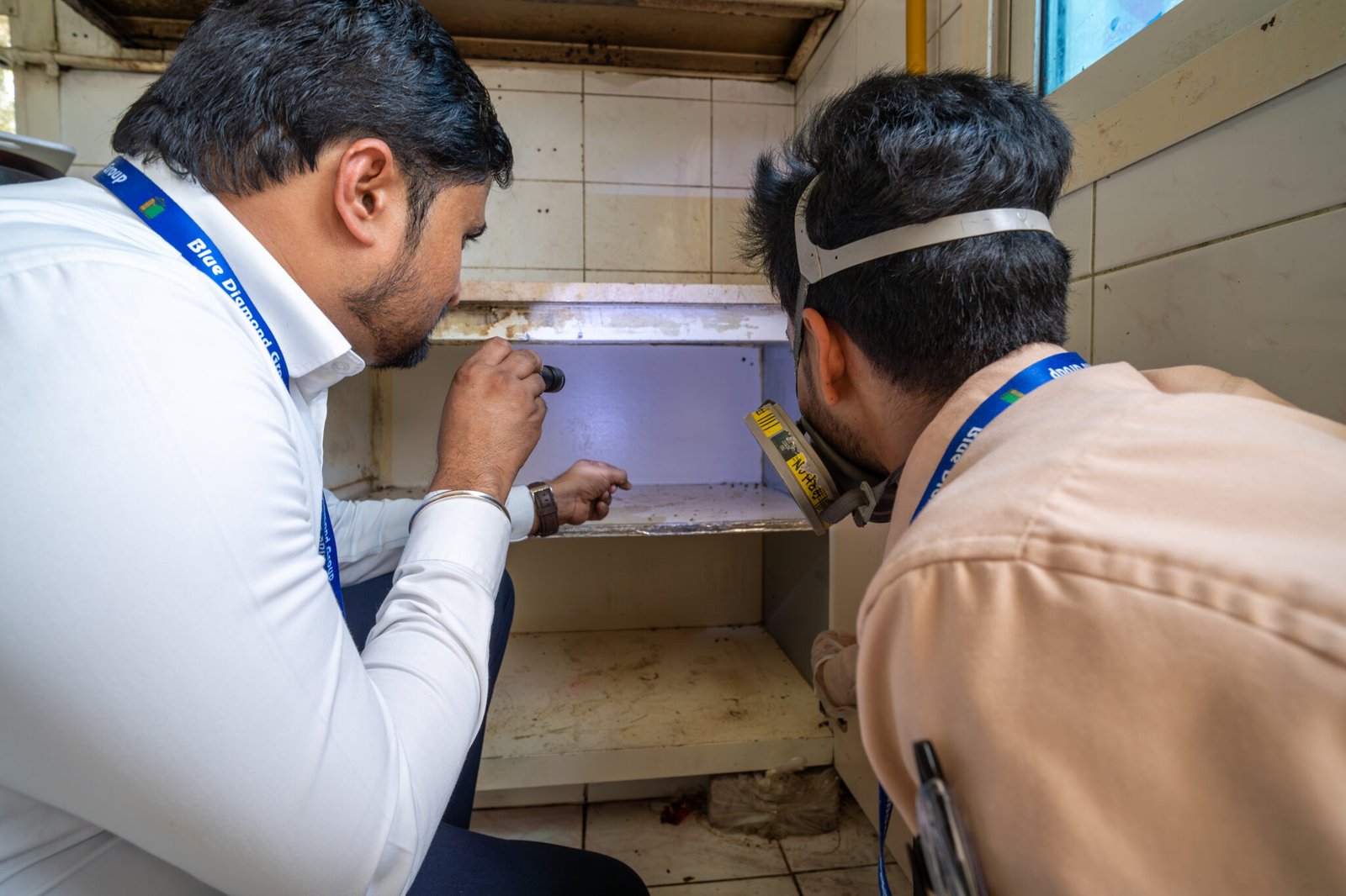 Home 11 Cockroach Control UAE | Professional Treatment Dubai