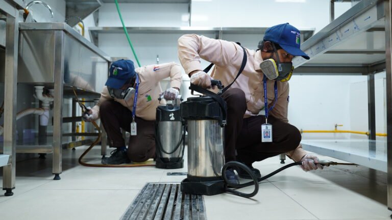 General Pest Control Services UAE