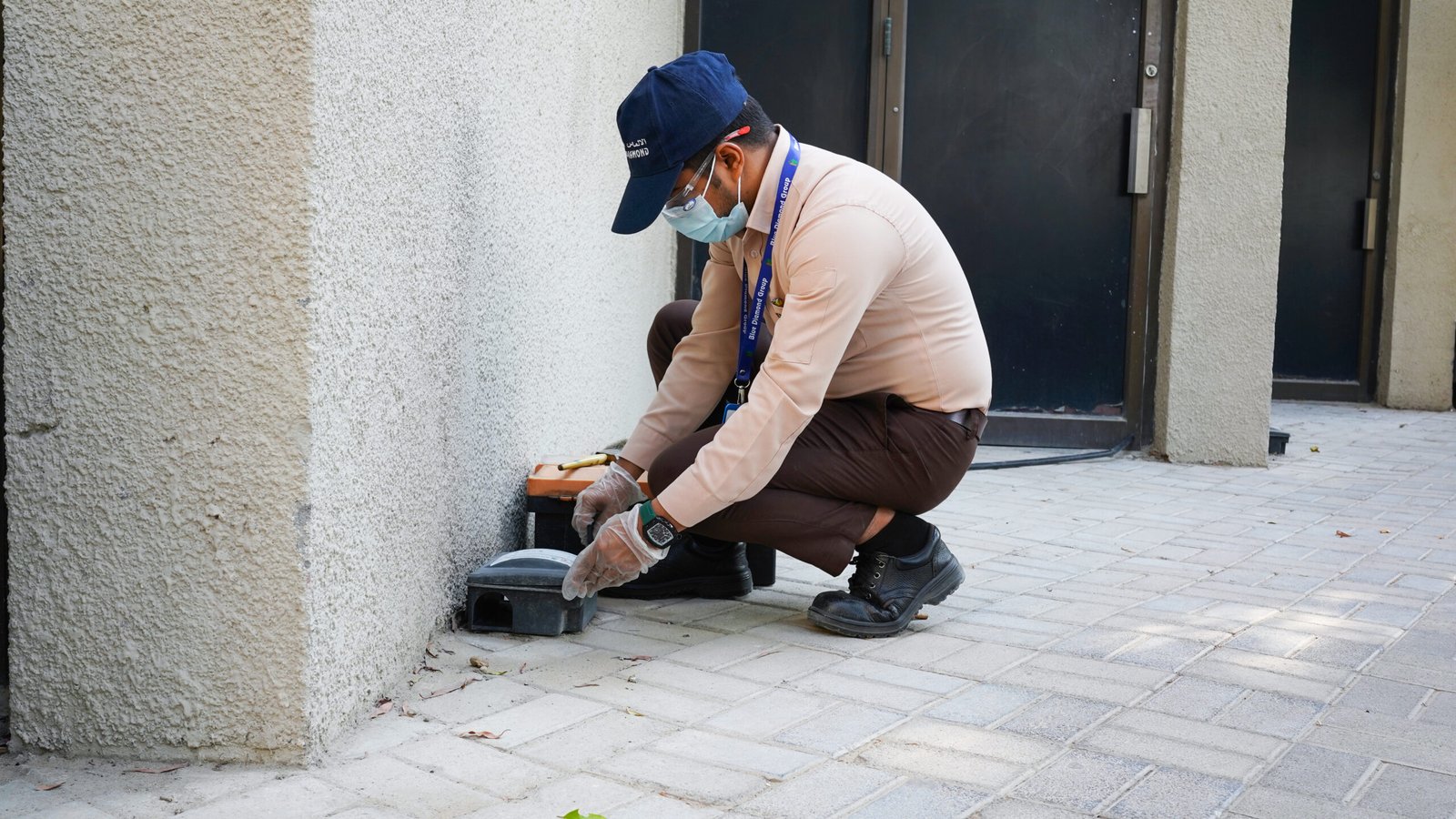 Commercial Pest Control Suppliers in Ras Al Khaimah | Guide