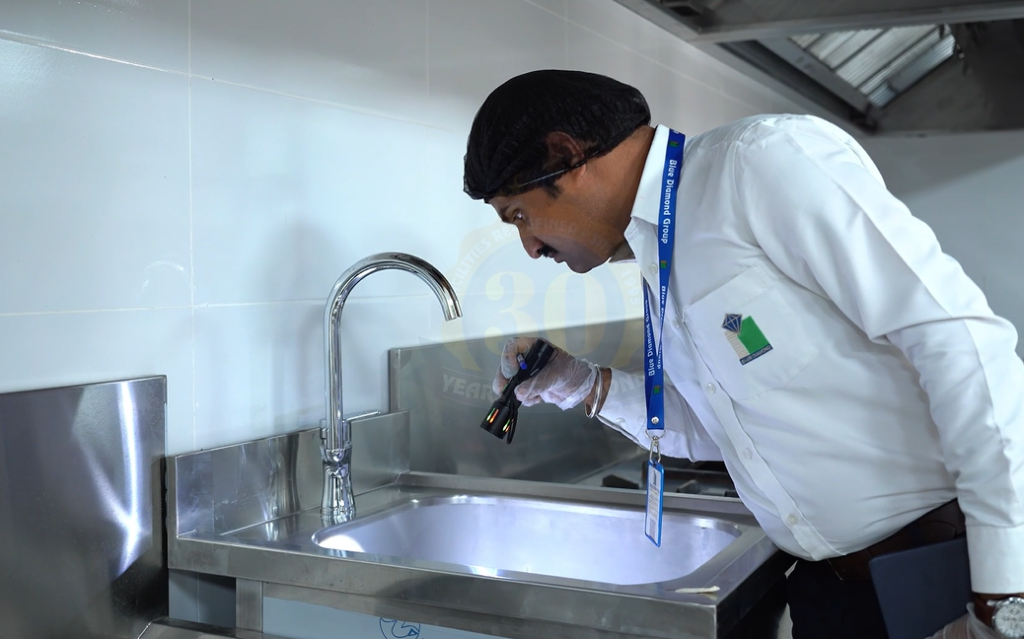 Pest Control Cost in UAE: Prices & What to Expect