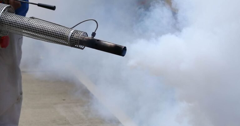 Fogging Services UAE