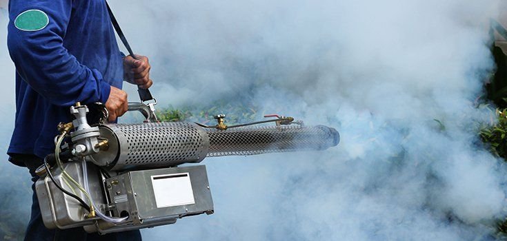 Home 11 Fogging Services UAE