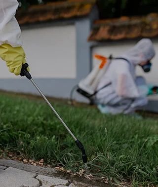 Home 10 General Pest Control Services UAE