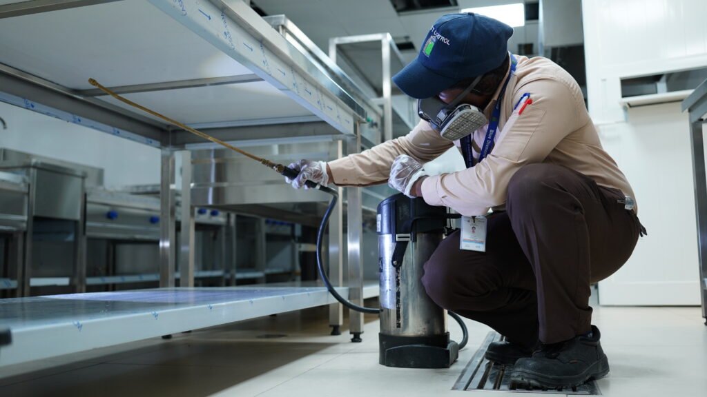 Pest Control Services Near Me Dubai | Fast Local Response