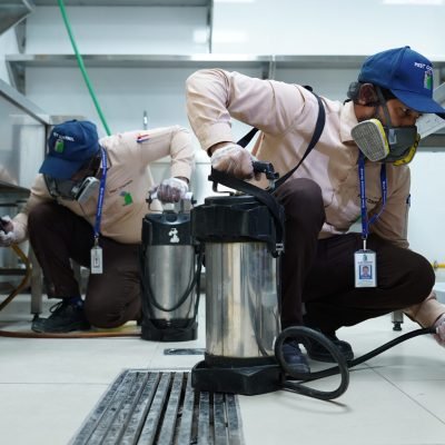 General Pest Control Services UAE
